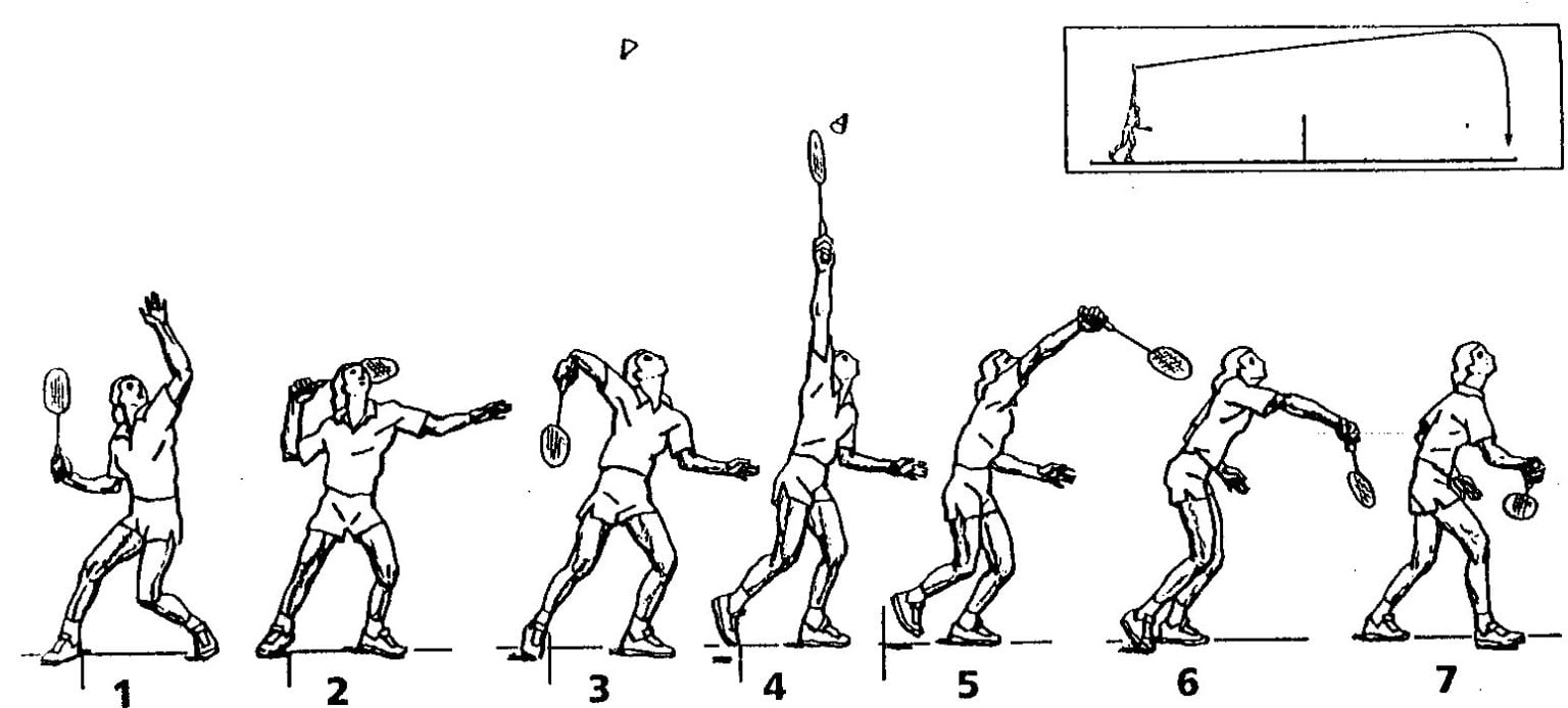 types-of-motion