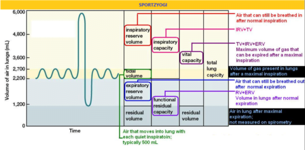 Second Wind And Oxygen Debt | Anatomy And Physiology