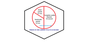 CARDIAC CYCLE